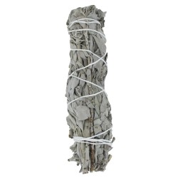 Fagot sauge blanche grand modèle magic mineraux dieppe